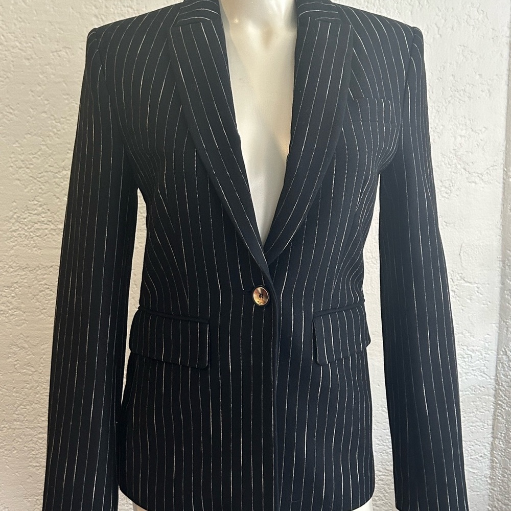 PINKO striped blazer SZ 2 NWT